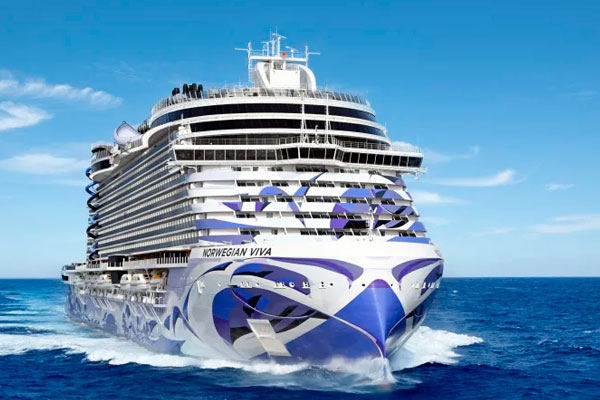 Pingüinos en la Antártida vistos desde el Norwegian Star