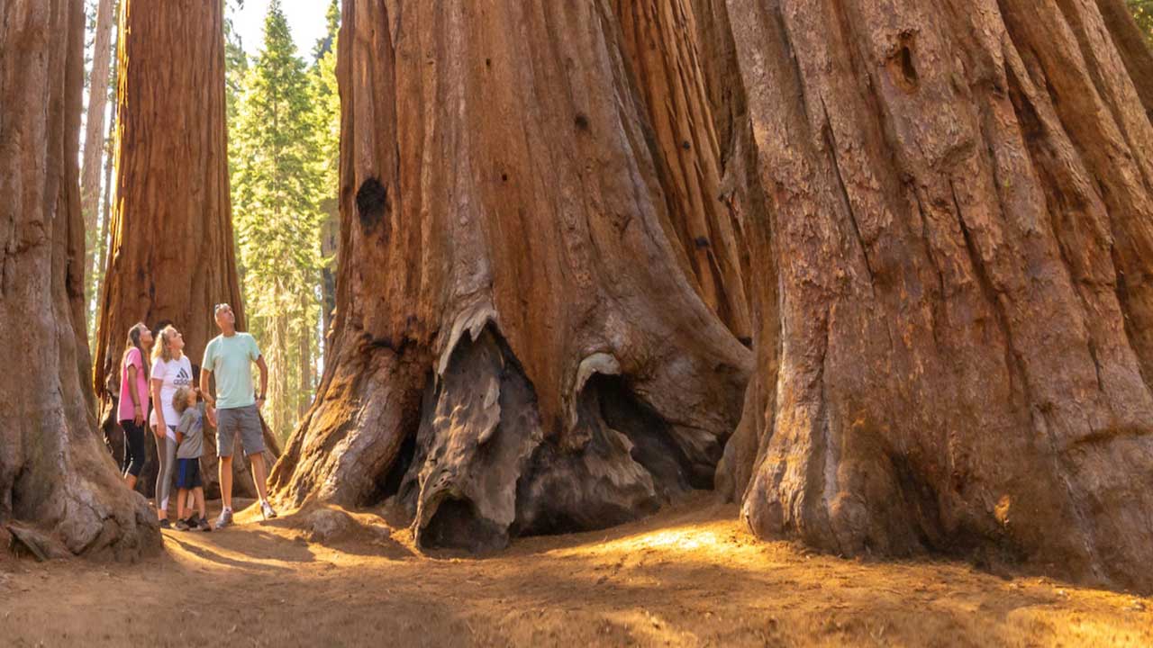 3 Disfruta una emocionante aventura desde Los Ángeles hasta San Francisco, explorando parques nacionales y ciudades icónicas.