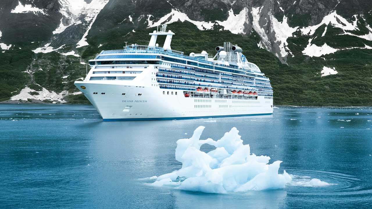 6 Consulta nuestras Ofertas de Cruceros a la Antártida con Princess
