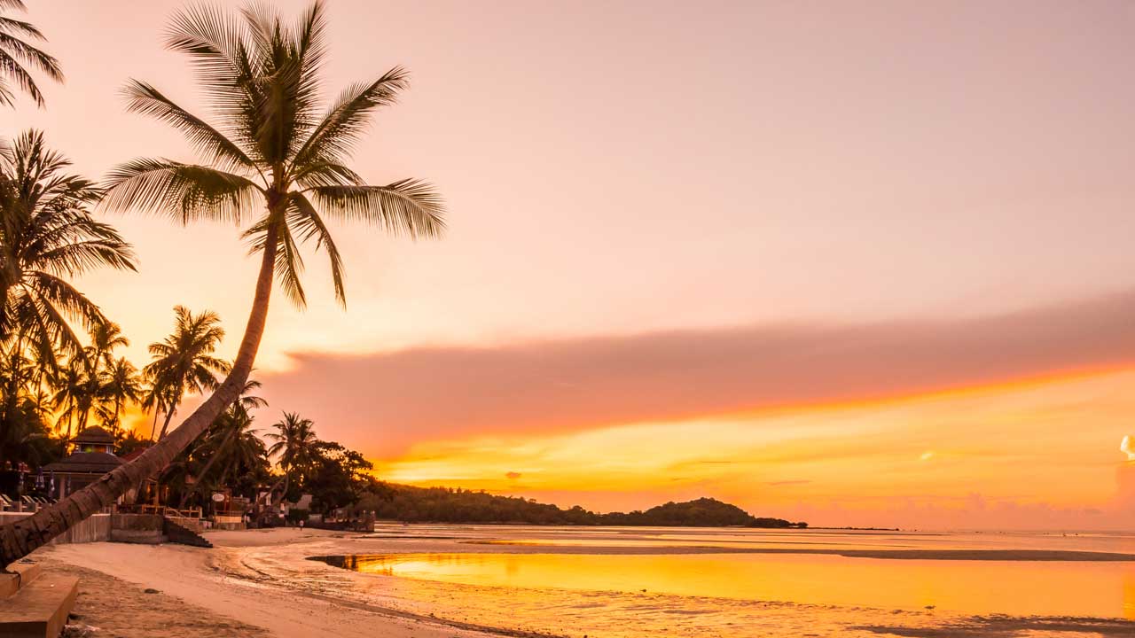 6 Embarca en un tour de 11 días por Playa del Carmen, disfrutando de relax, aventura y alojamiento todo incluido