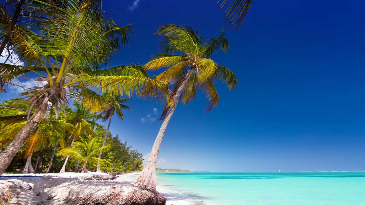 4 Experimenta el tour todo incluido a Punta Cana. Playas paradisíacas y aventuras te esperan del 18 al 25 de julio de 2024.